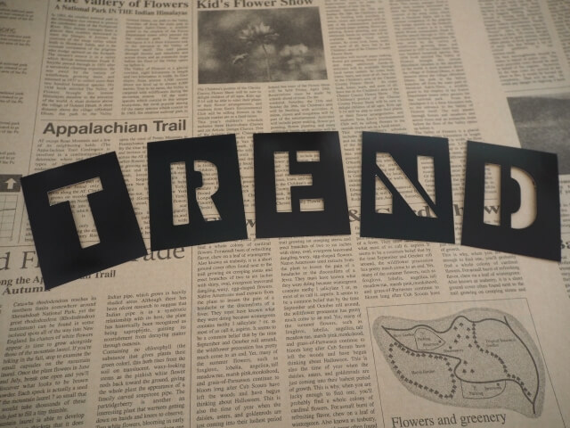 Webエンジニアなら知っておきたい  2024年の開発トレンド【フレームワーク編】